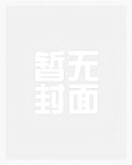 风雅金朗逸plus